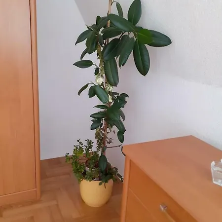 Bajkowy Apartamentowiec